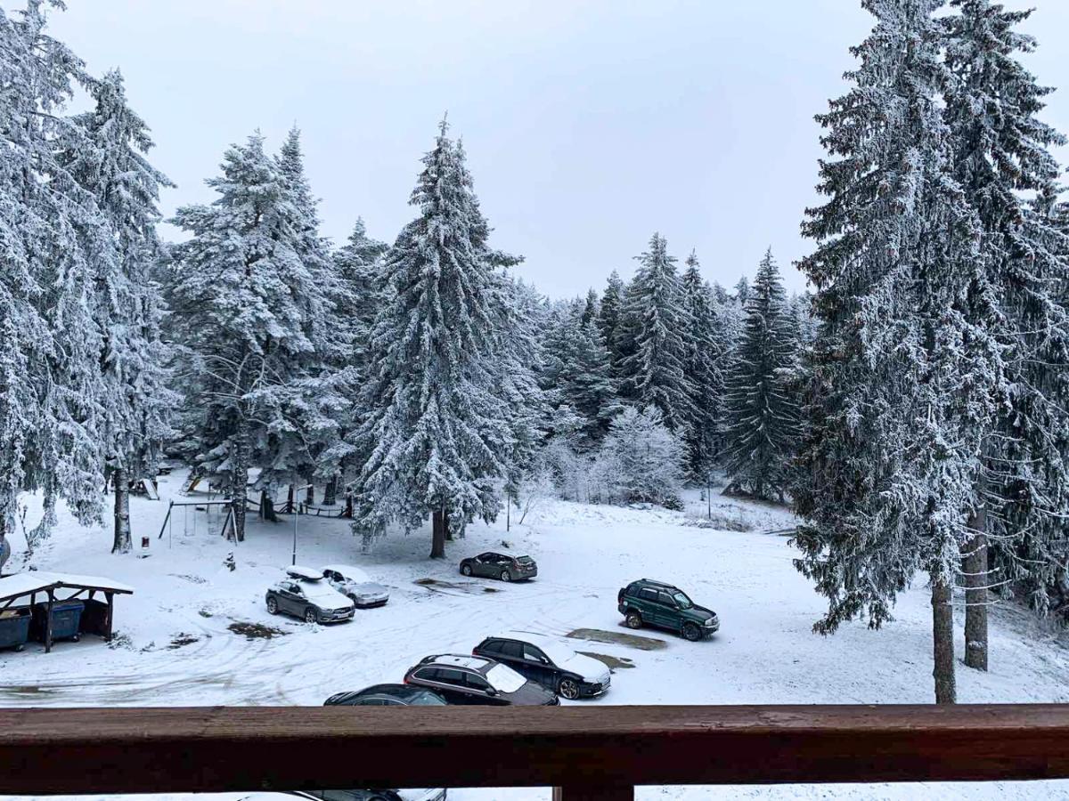 Studios And Apartments - Semiramida Gardens Borovets Bagian luar foto
