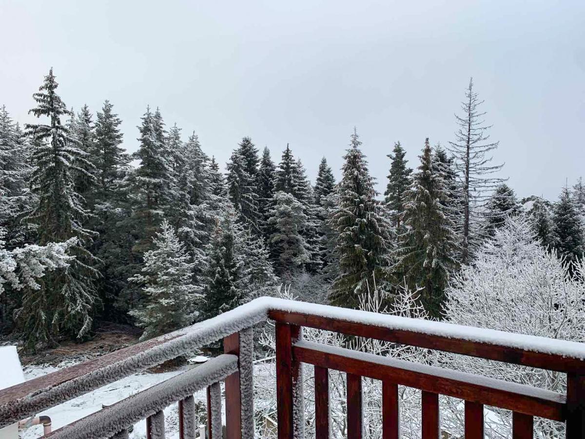 Studios And Apartments - Semiramida Gardens Borovets Bagian luar foto